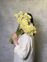 دسته نرگس ۱۵ گل