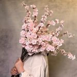 شکوفه هلو بلند سفید