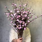 شکوفه به ژاپنی بلند