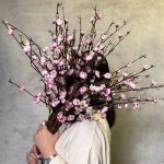 شکوفه به ژاپنی بلند
