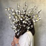 شکوفه به ژاپنی بلند