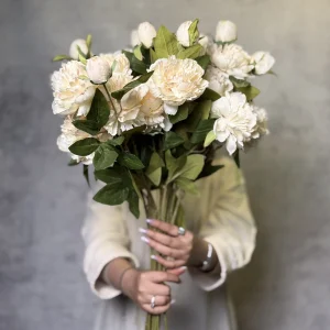 پیونی ۲ گل ۱ غنچه