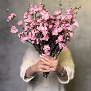 شکوفه ژاپنی کوتاه