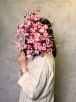 شکوفه ژاپنی کوتاه