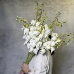 یوکا گلوریانس