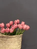 لاله ۵ گل