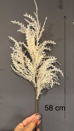 آسپاراگوس ( مارچوبه ) - Image 7
