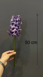 سنبل