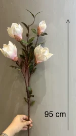مگنولیا ۴ گل درشت