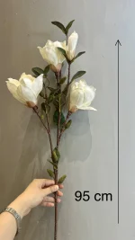 مگنولیا ۴ گل درشت