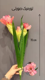 تورمیک - Image 2