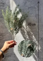 بوته کاج میوه دار