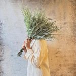 بوته آراکس