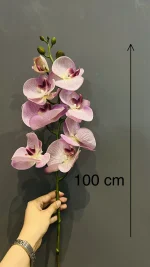 ارکیده ۸ گل لمسی صورتی