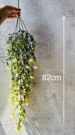 بوته رازک ایرلندی