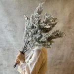 شاخه صدر هیمالیا - Image 2