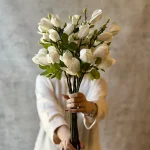 مگنولیا ۴ گل لیلی فلورا