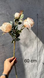 رز سه گل خشک بزرگ - Image 5