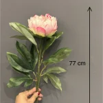 پیونی تک گل