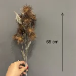 شاخه قاصدکی
