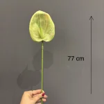 آنتوریوم