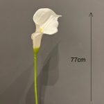 شیپوری سفید لاتکس - Image 4