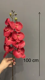 ارکیده ۸ گل لمسی قرمز