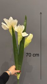 تورمیک - Image 6