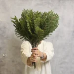 کاج‌ژاپنی