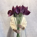 آنتوریوم