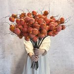 خرمالو ۷ میوه