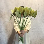 آنتوریوم