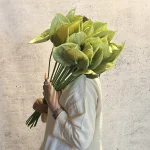 آنتوریوم