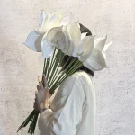 آنتوریوم