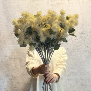 شاخه قاصدکی