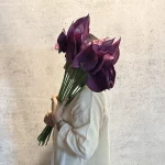 آنتوریوم
