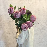 پیونی تک گل