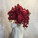 ارکیده ۸ گل لمسی قرمز