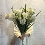 تورمیک - Image 5