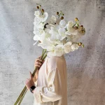 ارکیده ۸ گل سفید لمسی