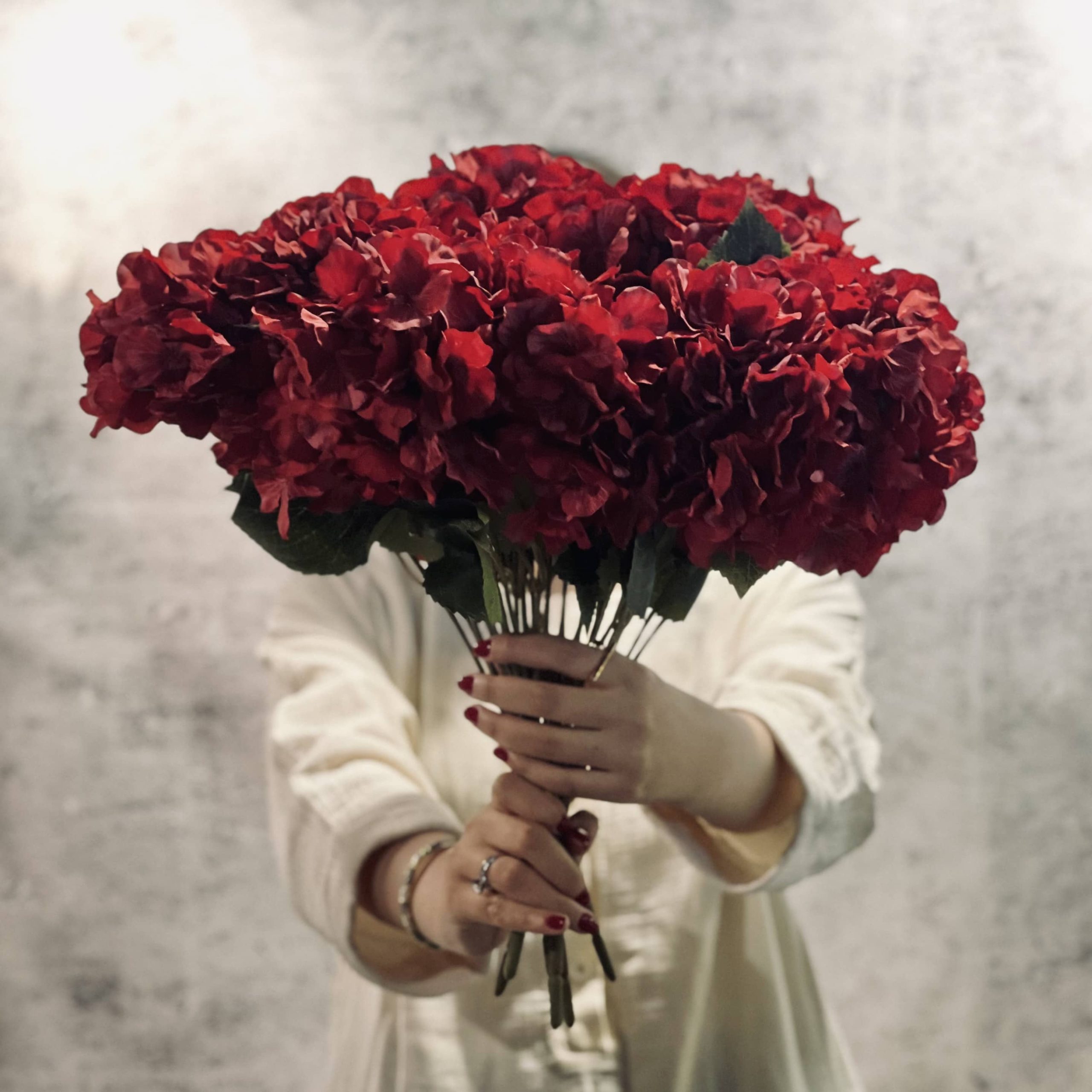 IMG_0810 2 هورتانزیا ۵ گل قرمز - Image 1