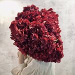 هورتانزیا ۵ گل قرمز - Image 3